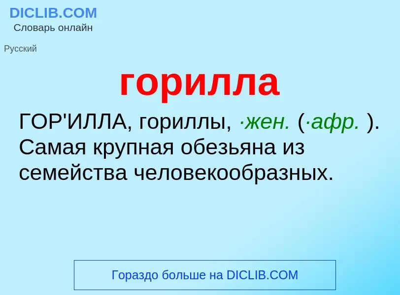 Was ist горилла - Definition