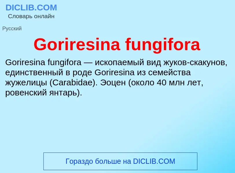 Что такое Goriresina fungifora - определение