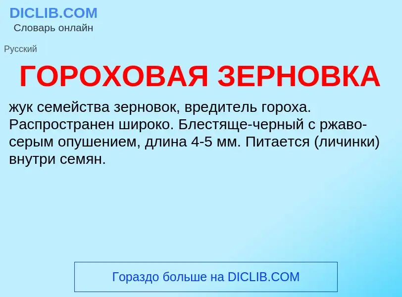 ¿Qué es ГОРОХОВАЯ ЗЕРНОВКА? - significado y definición