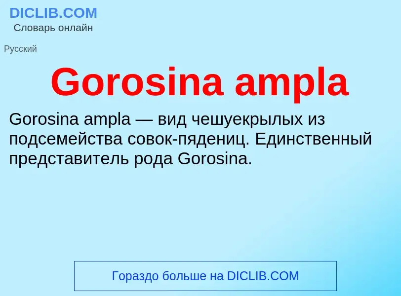 Что такое Gorosina ampla - определение