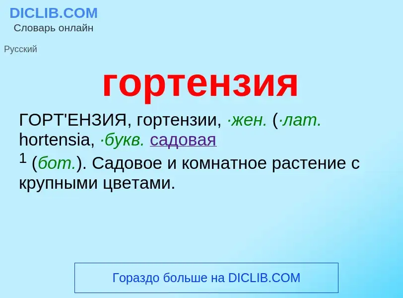 Was ist гортензия - Definition