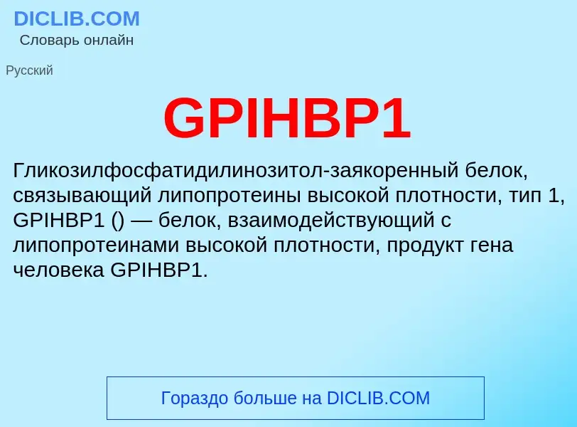 Что такое GPIHBP1 - определение