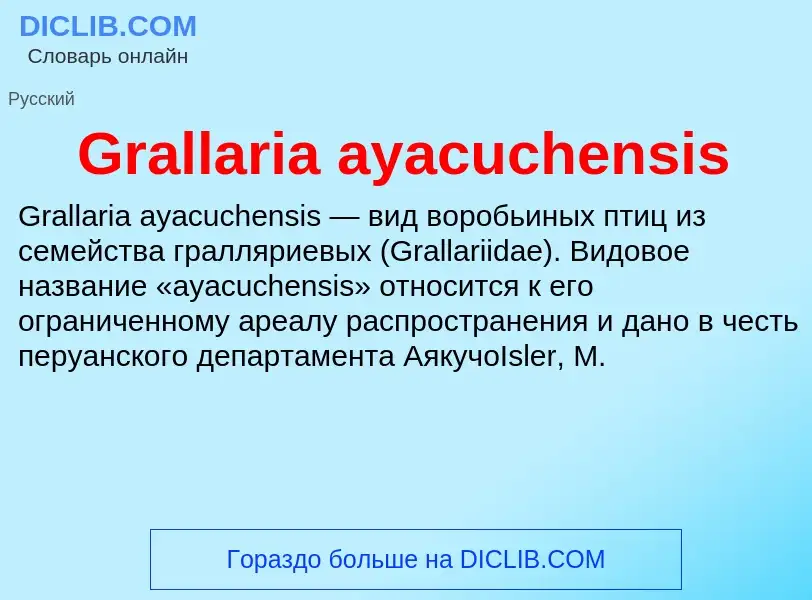 Что такое Grallaria ayacuchensis - определение