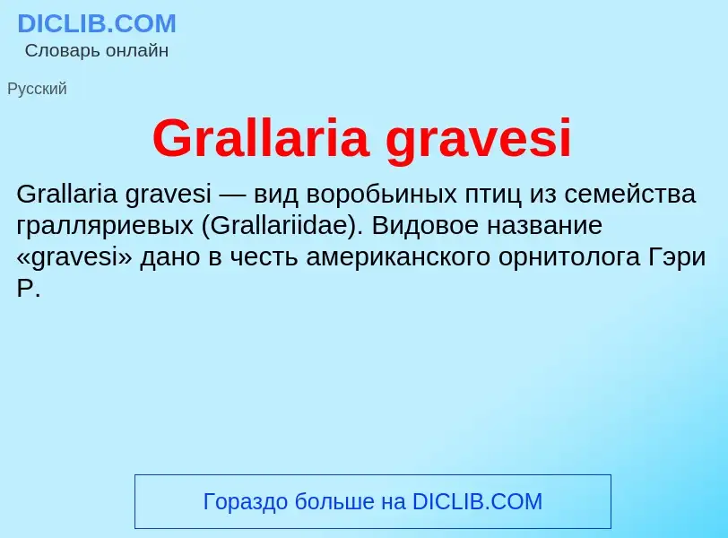 Что такое Grallaria gravesi - определение