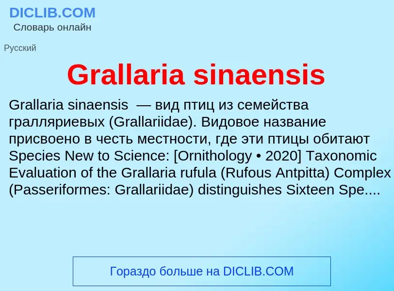 Что такое Grallaria sinaensis - определение