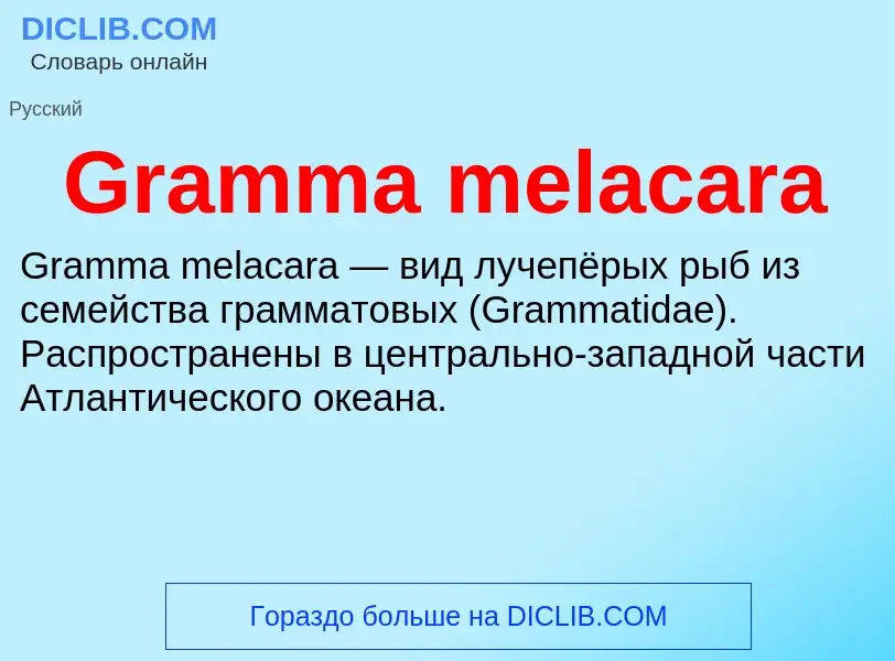 Что такое Gramma melacara - определение