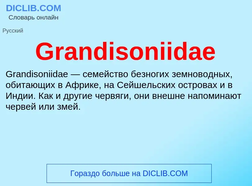 Что такое Grandisoniidae - определение