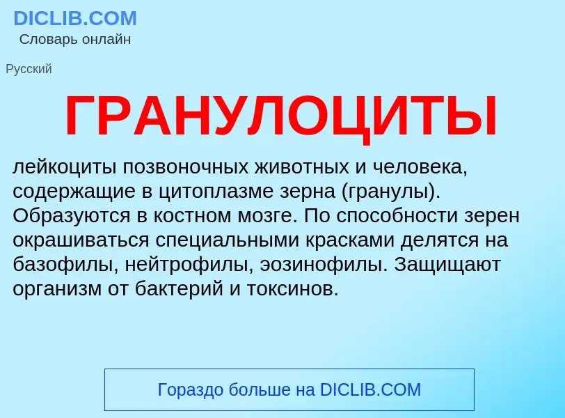 What is ГРАНУЛОЦИТЫ - definition