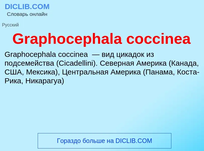 ¿Qué es Graphocephala coccinea? - significado y definición