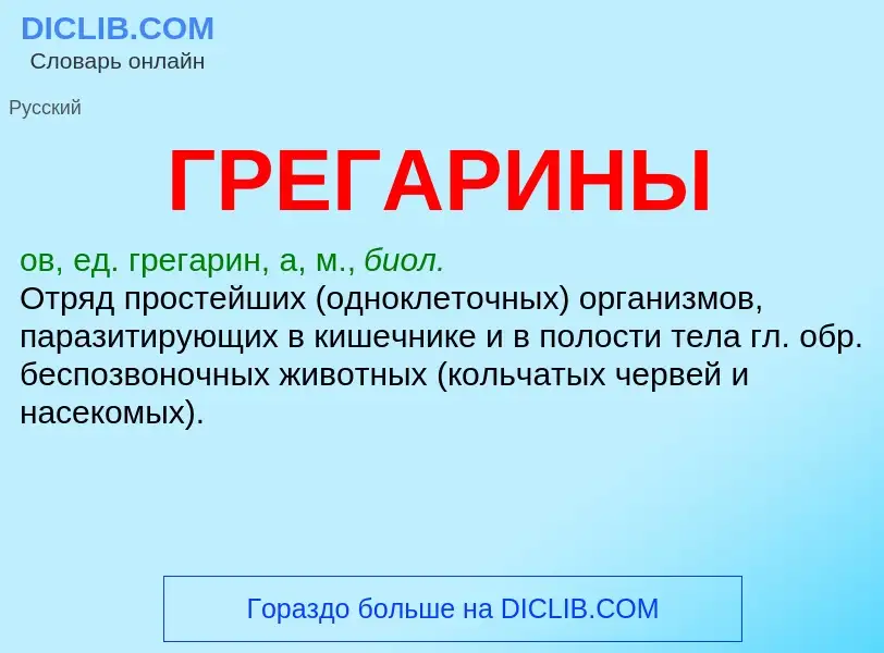 O que é ГРЕГАРИНЫ - definição, significado, conceito