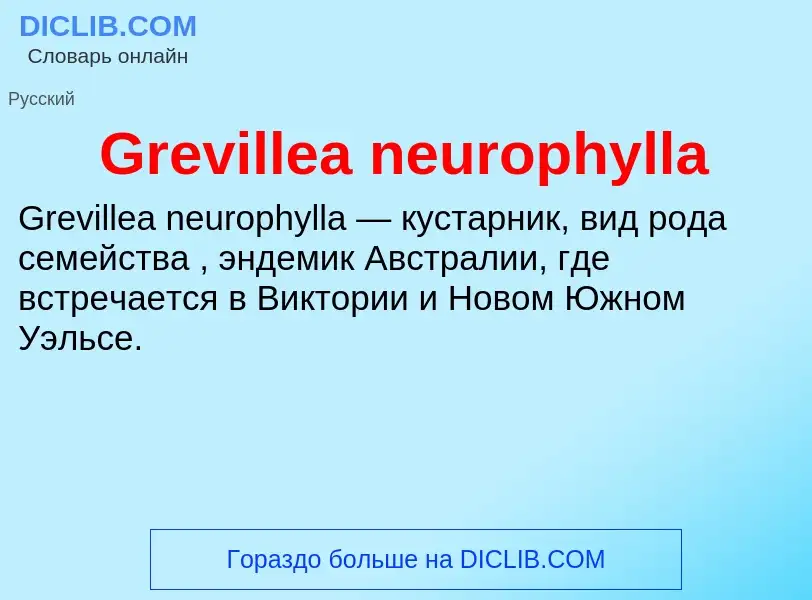 Что такое Grevillea neurophylla - определение