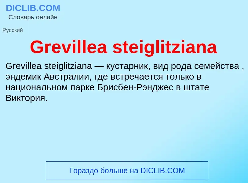 Что такое Grevillea steiglitziana - определение