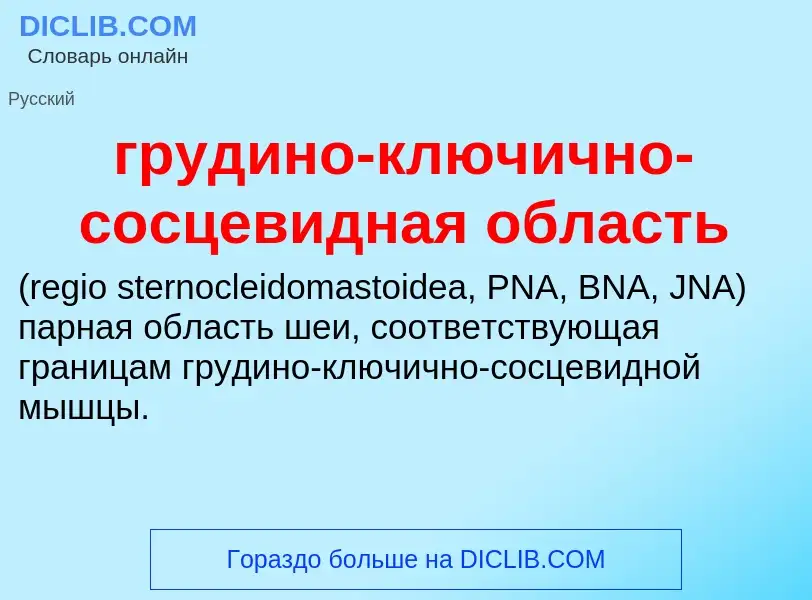 Что такое грудино-ключично-сосцевидная область  - определение