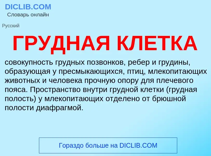 What is ГРУДНАЯ КЛЕТКА - definition