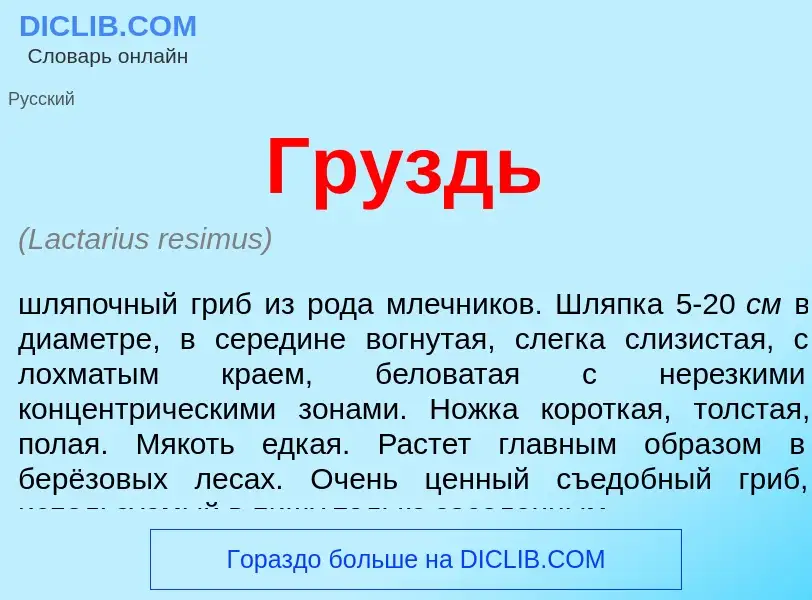 Was ist Груздь - Definition