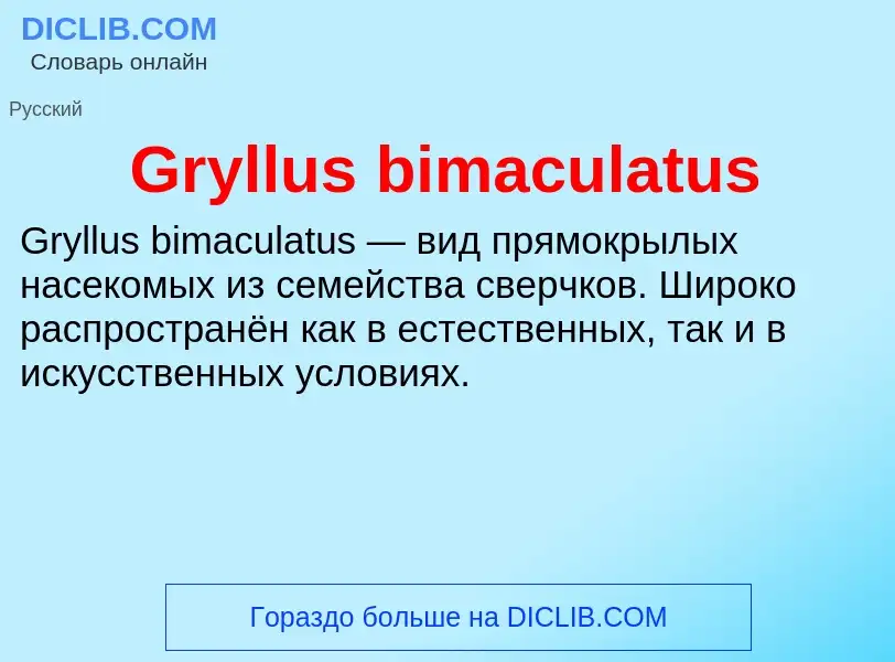 Что такое Gryllus bimaculatus - определение