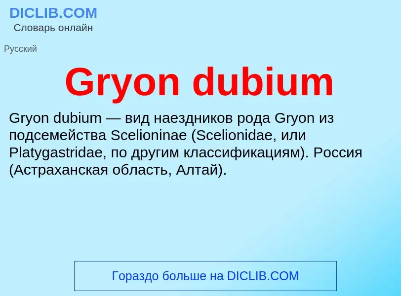 Что такое Gryon dubium - определение