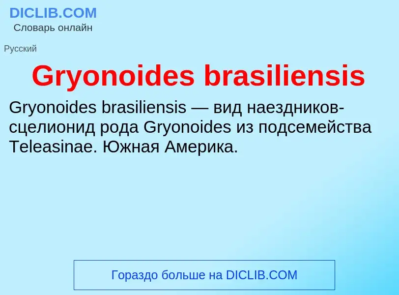 Was ist Gryonoides brasiliensis - Definition