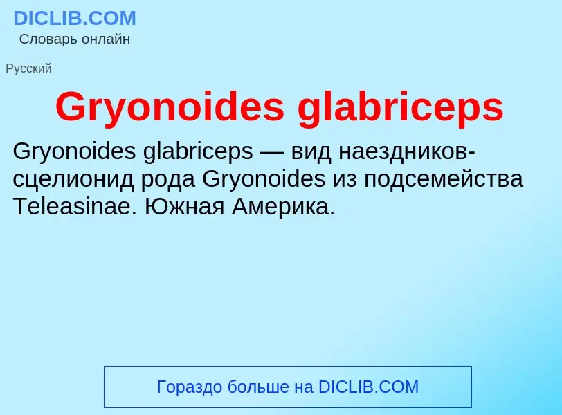 Что такое Gryonoides glabriceps - определение