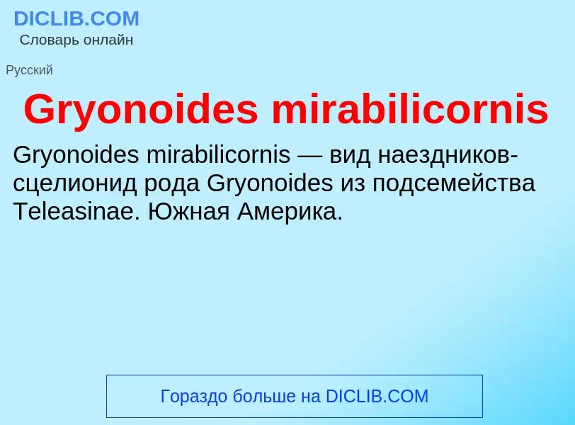 Was ist Gryonoides mirabilicornis - Definition