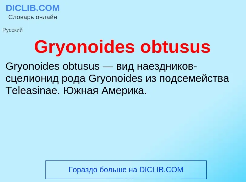 Что такое Gryonoides obtusus - определение