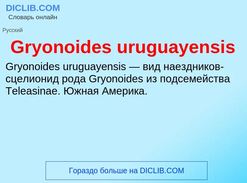 Что такое Gryonoides uruguayensis - определение