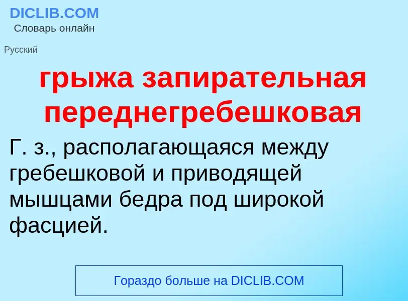 Что такое грыжа запирательная переднегребешковая - определение