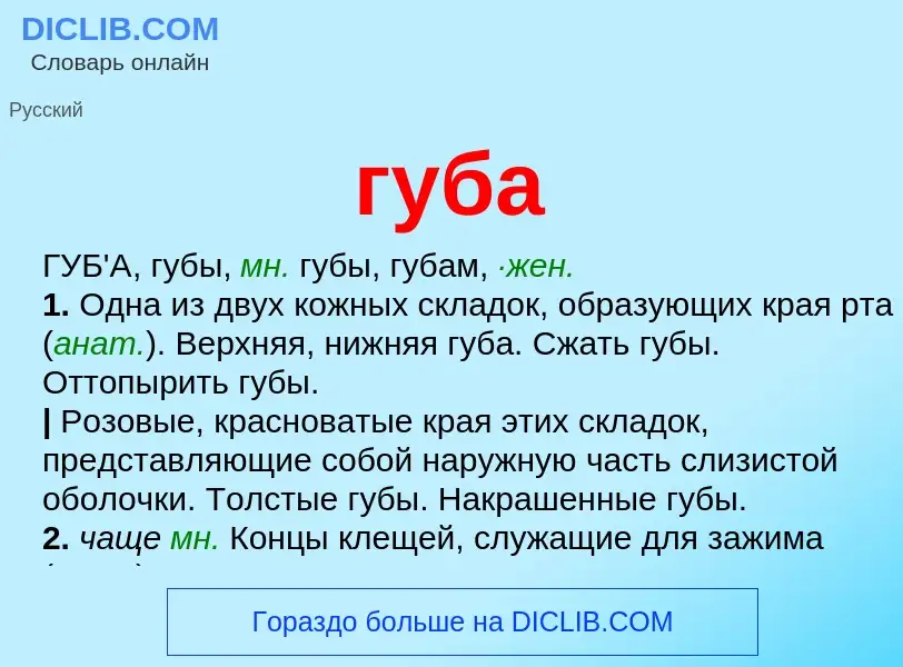 What is губа - meaning and definition