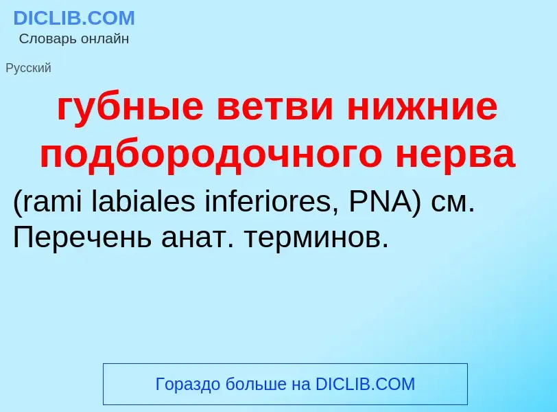 What is губные ветви нижние подбородочного нерва  - meaning and definition