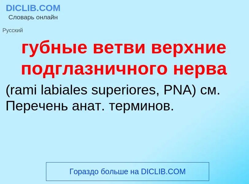 Что такое губные ветви верхние подглазничного нерва  - определение