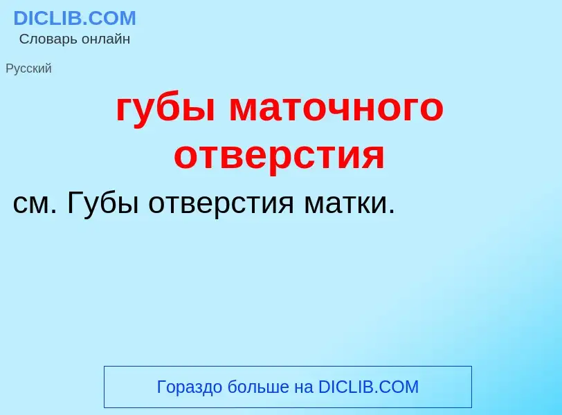 Что такое губы маточного отверстия - определение