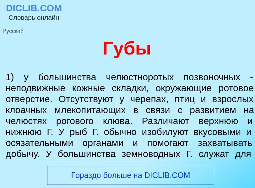 What is Г<font color="red">у</font>бы - meaning and definition