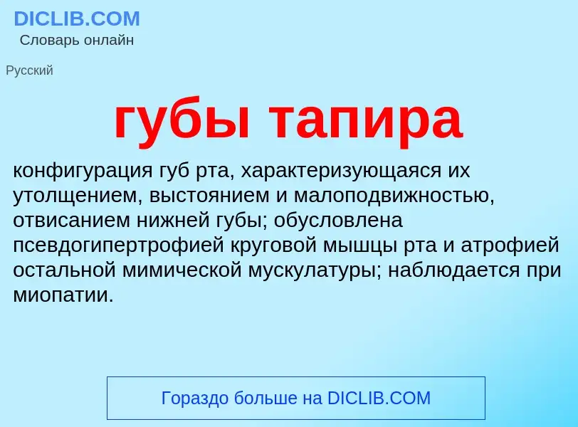 Что такое губы тапира - определение