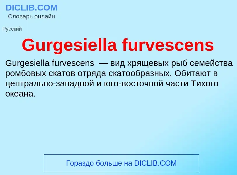 Что такое Gurgesiella furvescens - определение