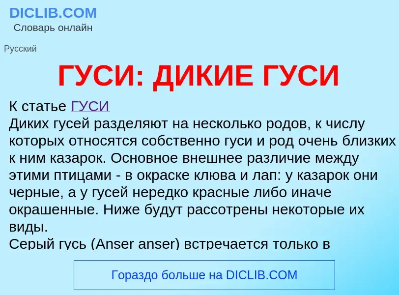 Что такое ГУСИ: ДИКИЕ ГУСИ - определение