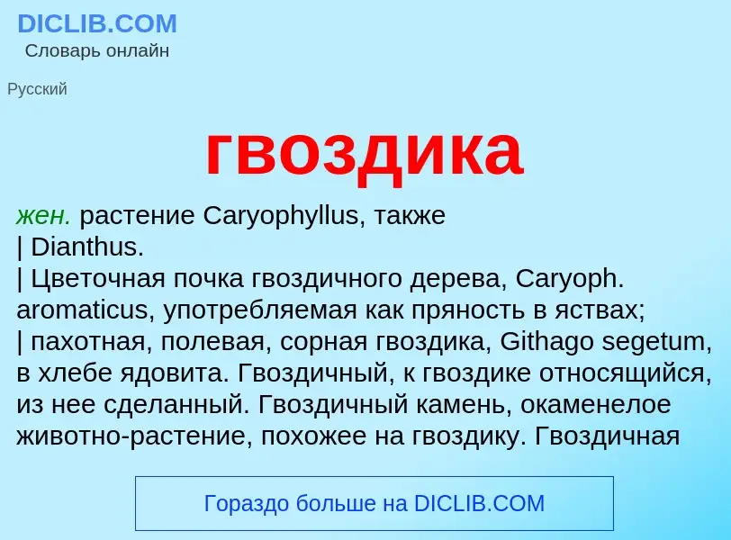 O que é гвоздика - definição, significado, conceito