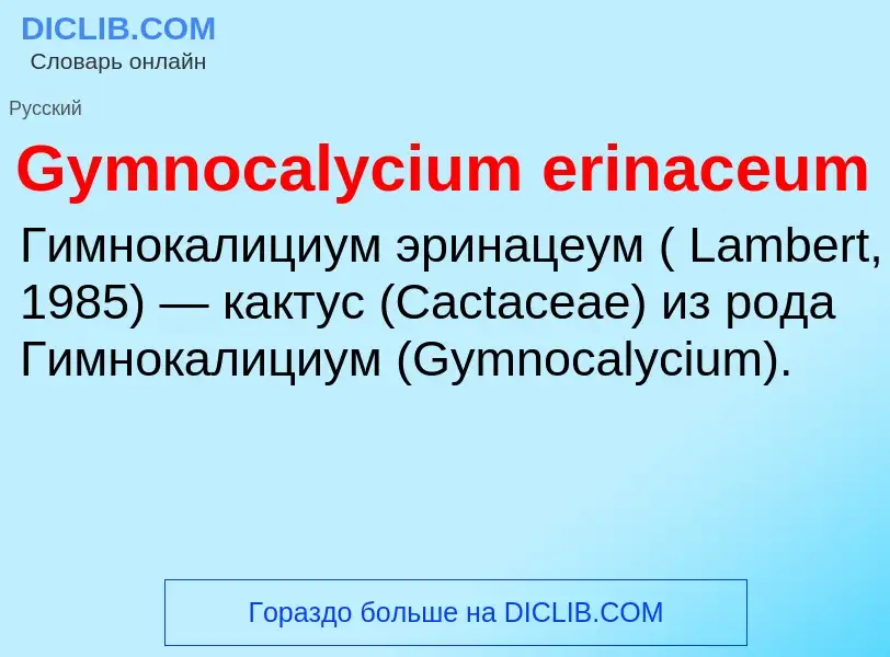 What is Gymnocalycium erinaceum - meaning and definition