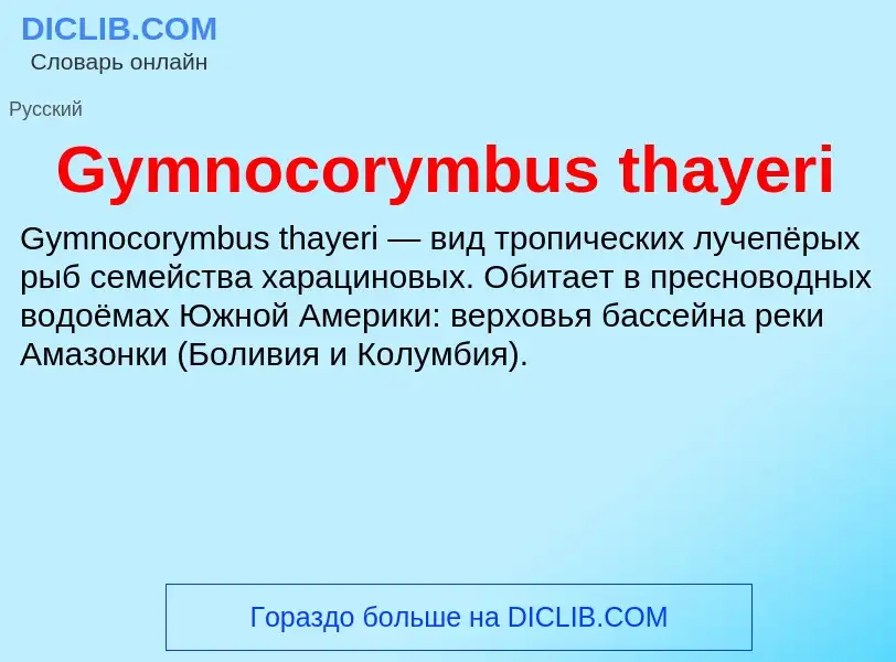 ¿Qué es Gymnocorymbus thayeri? - significado y definición