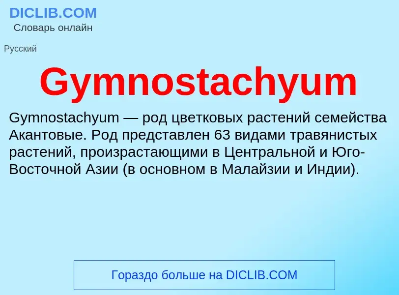 What is Gymnostachyum - definition