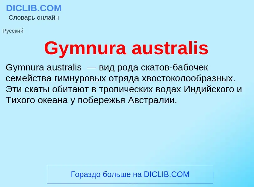 What is Gymnura australis - meaning and definition