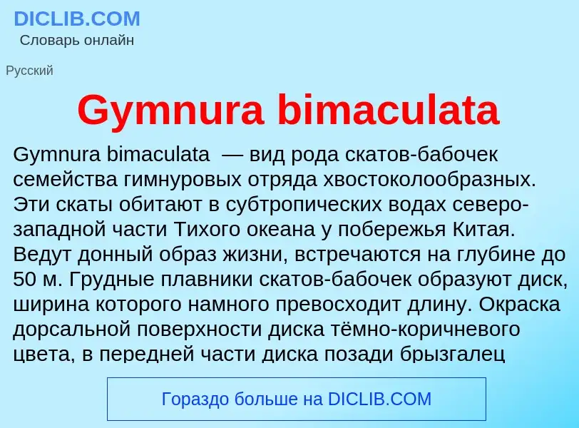 What is Gymnura bimaculata - definition