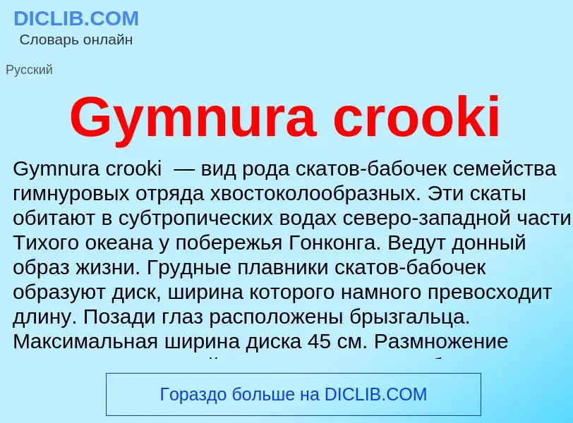 Что такое Gymnura crooki - определение