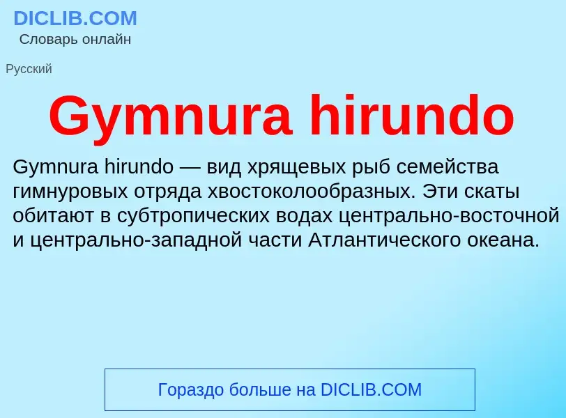 Что такое Gymnura hirundo - определение