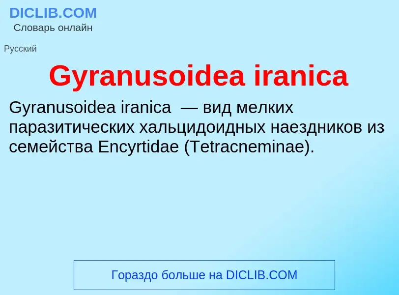 Что такое Gyranusoidea iranica - определение