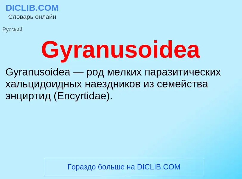 Что такое Gyranusoidea - определение