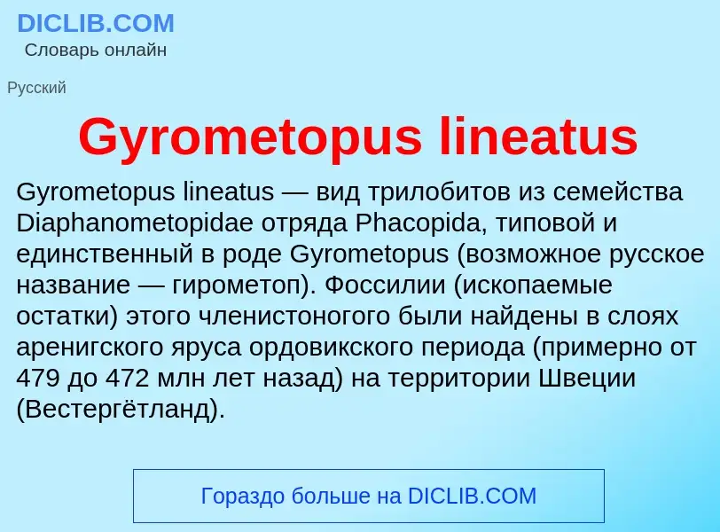 Что такое Gyrometopus lineatus - определение