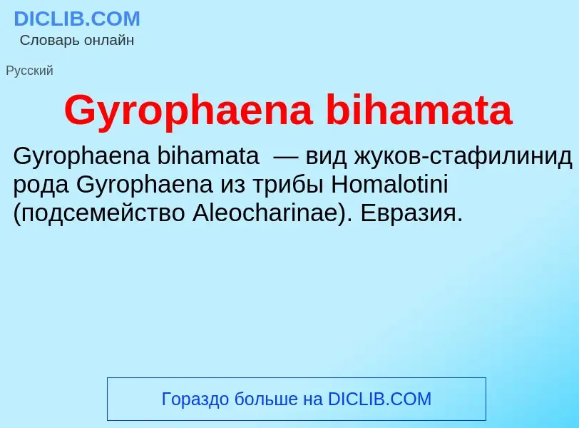 Что такое Gyrophaena bihamata - определение