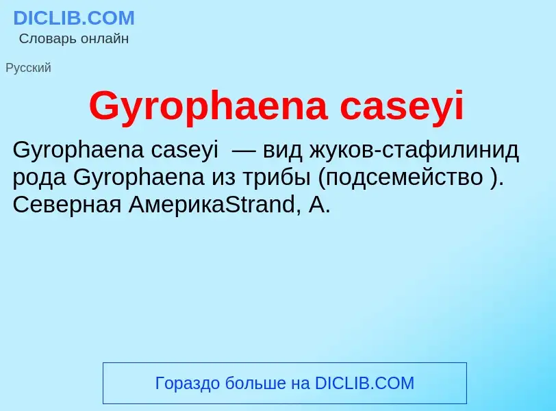 Что такое Gyrophaena caseyi - определение