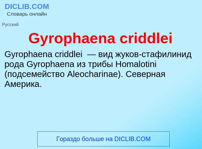 Что такое Gyrophaena criddlei - определение