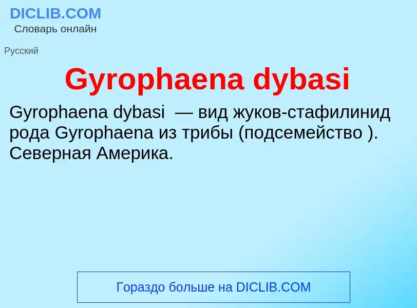 Что такое Gyrophaena dybasi - определение